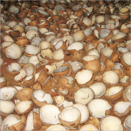 Coconut White Copra