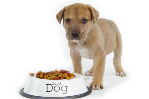 Multi Cassia Gum For Pet Food