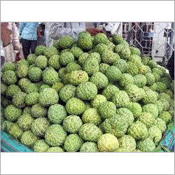 Custard Apple