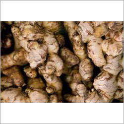 Ginger Root