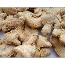 Dry Ginger