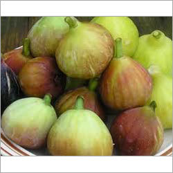 anjeer fruit in telugu