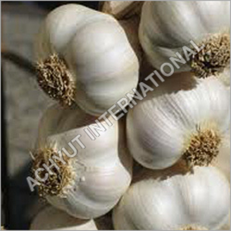 Organic Garlic