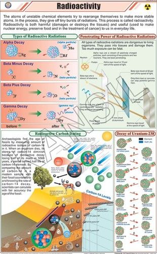 Radioactivity Chart Dimensions: 58 A  90  Centimeter (Cm)