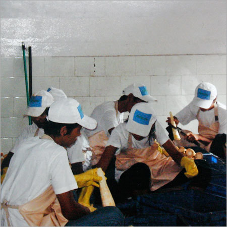 Society Employing Unemployed Activities