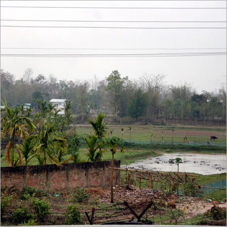 Society project site