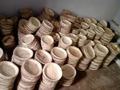 Areca Products