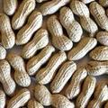 Pea Nut