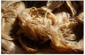 Banana Fibers