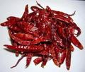 Red Chilli