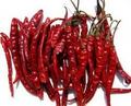 Chilli
