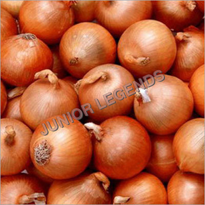 Red Onions