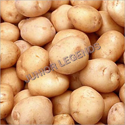 Organic Potato