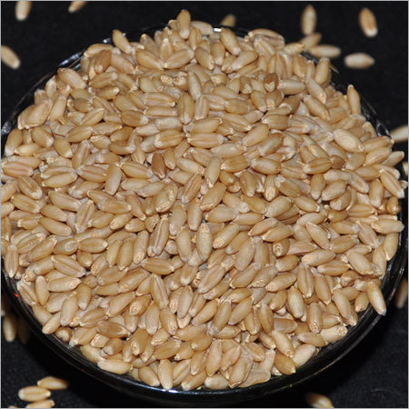 Organic Wheat