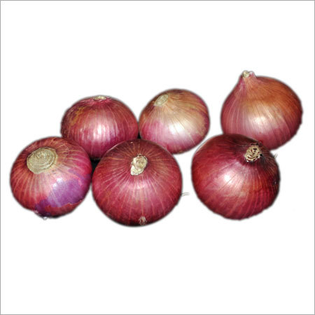Fresh Onion