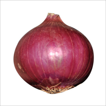 Organic Onion