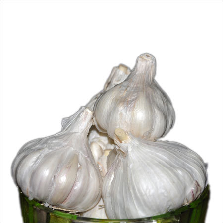 Farm Fresh Garlic