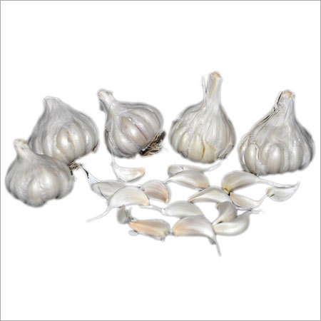 Organic Fresh Garlic