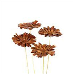 Dried Flowers