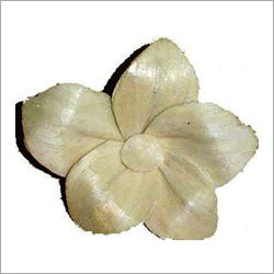 Dried Flowers