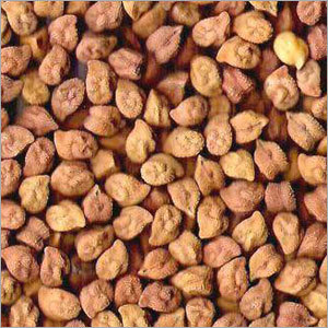 Bengal Gram