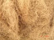 Pure Coir Fiber