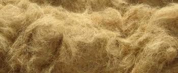 Coir Fiber