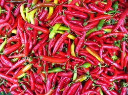 Fresh Capsicum