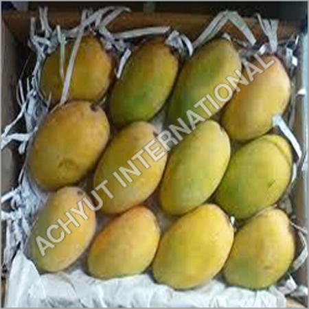 Kesar Mango