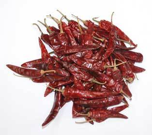 273 guntur (wrinkled) Red Hot Chili Peppers