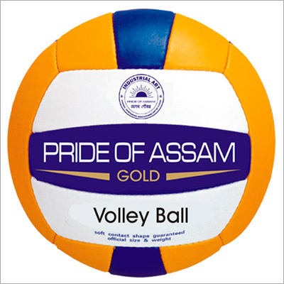 Volleyball