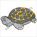 Turtle carpet