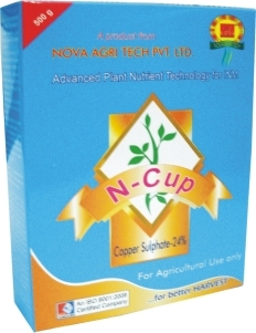 N Cup