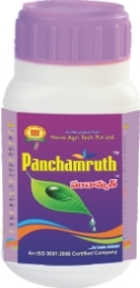 Panchamruth