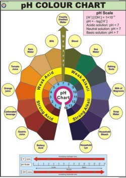 pH Scale Color Chart