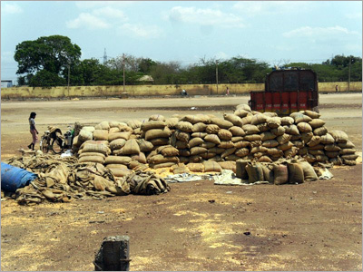Accidentally Damaged Food Grain Products