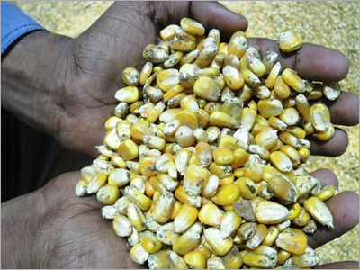 Accidentally Damaged Grains