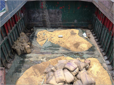 Accidentally Damaged Food Grains