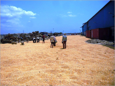 Spoiled Food Grains Products