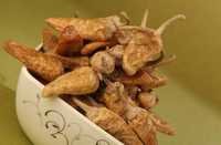Salted Curd Chillies 