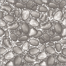 Natural Forte Wallpapers