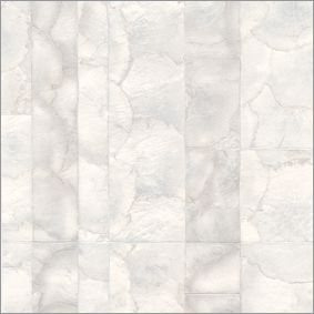 Attractive Shell Wallpapers