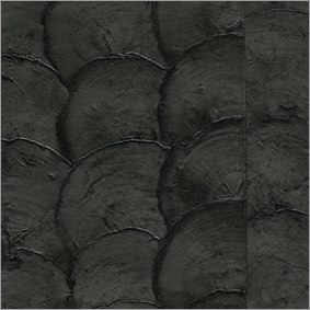Black Shell Wallpapers