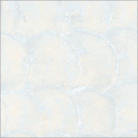Shell Wall Papers
