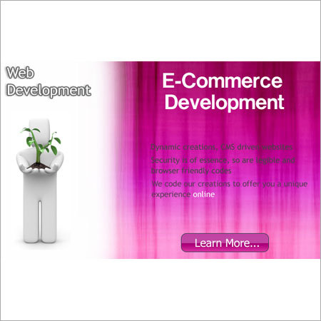 Web Development