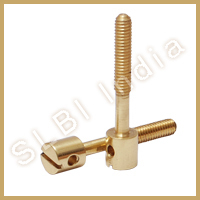 Golden Brass Electric Meter Screw