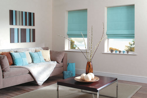 Skylight blinds