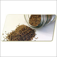 Celery Seeds Grade: Food And Medicine