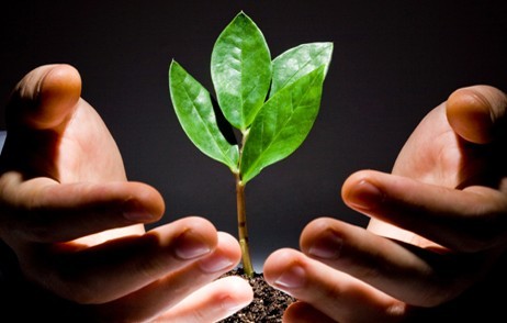 Wealth Management