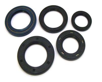 OIL SEALS